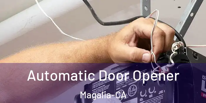  Automatic Door Opener Magalia-CA
