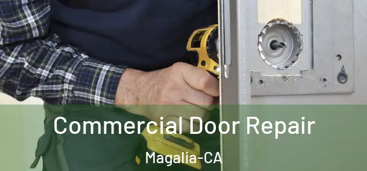 Commercial Door Repair Magalia-CA