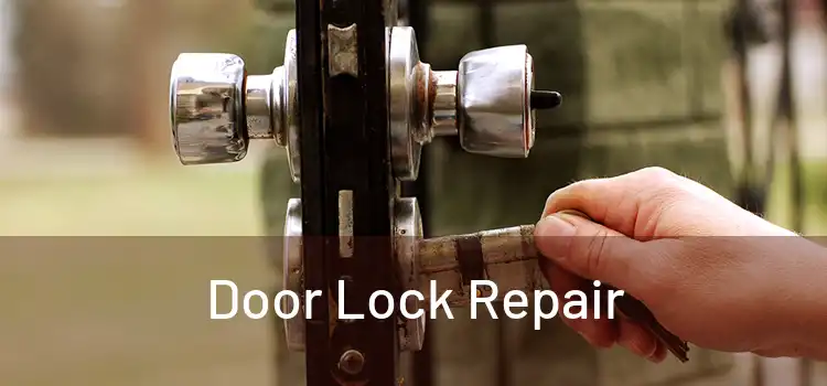 Door Lock Repair