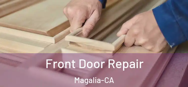  Front Door Repair Magalia-CA