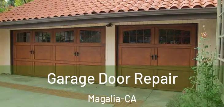 Garage Door Repair Magalia-CA