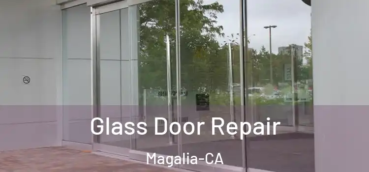  Glass Door Repair Magalia-CA
