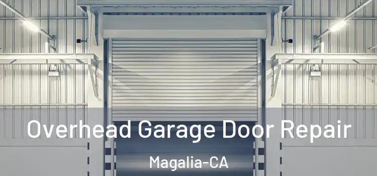 Overhead Garage Door Repair Magalia-CA