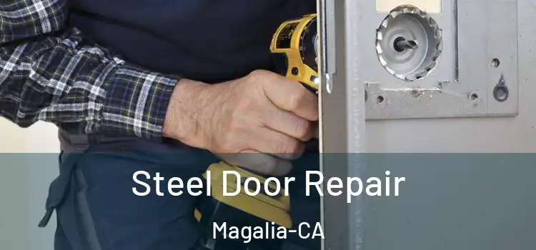  Steel Door Repair Magalia-CA