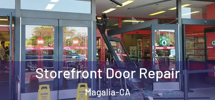 Storefront Door Repair Magalia-CA